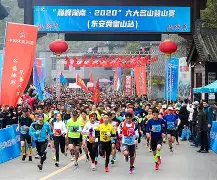 附加赛巅峰对决！嵩山烈马队小胜塞北风暴队，板球赛场再起波澜；年轻人站出来了的简单介绍